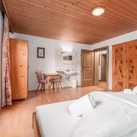 Haus Tuxerklamm Appartement Mayrhofen